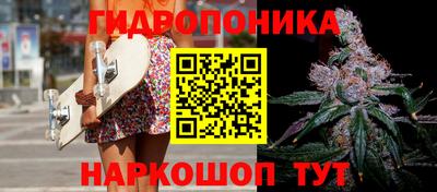 дживик Новозыбков