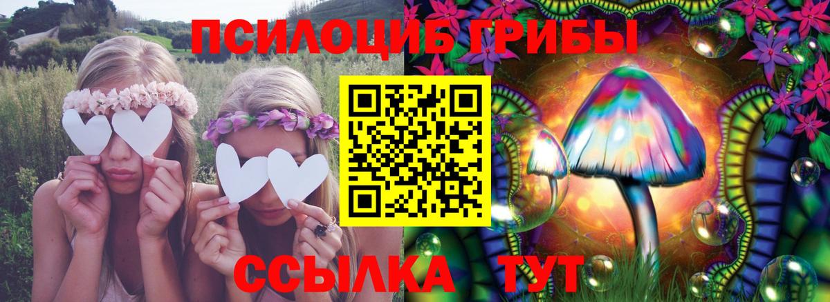 Псилоцибиновые грибы Magic Shrooms Заинск
