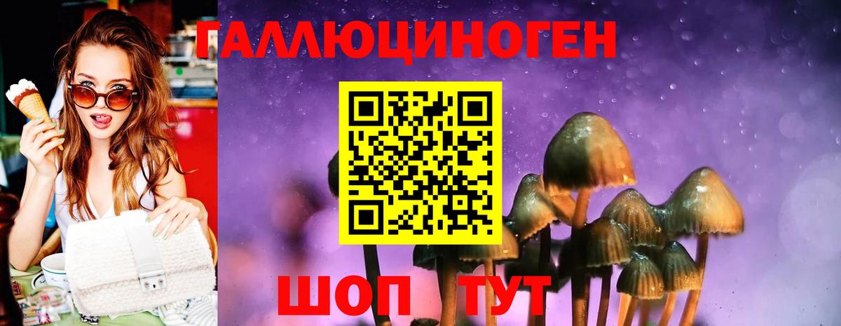 Галлюциногенные грибы MAGIC MUSHROOMS  Вход с VPN  Заинск  Псилоцибиновые грибы Psilocybe 